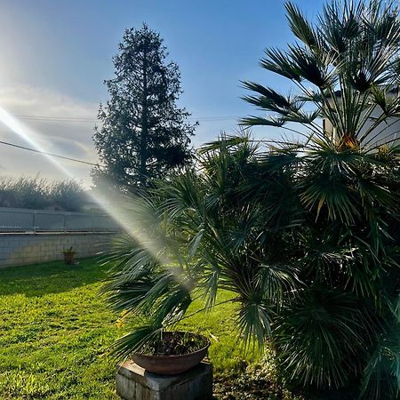 A Casa Di Marco Guesthouse - Apt Di Ciampino E Stazione Per Roma มารีโน ภายนอก รูปภาพ