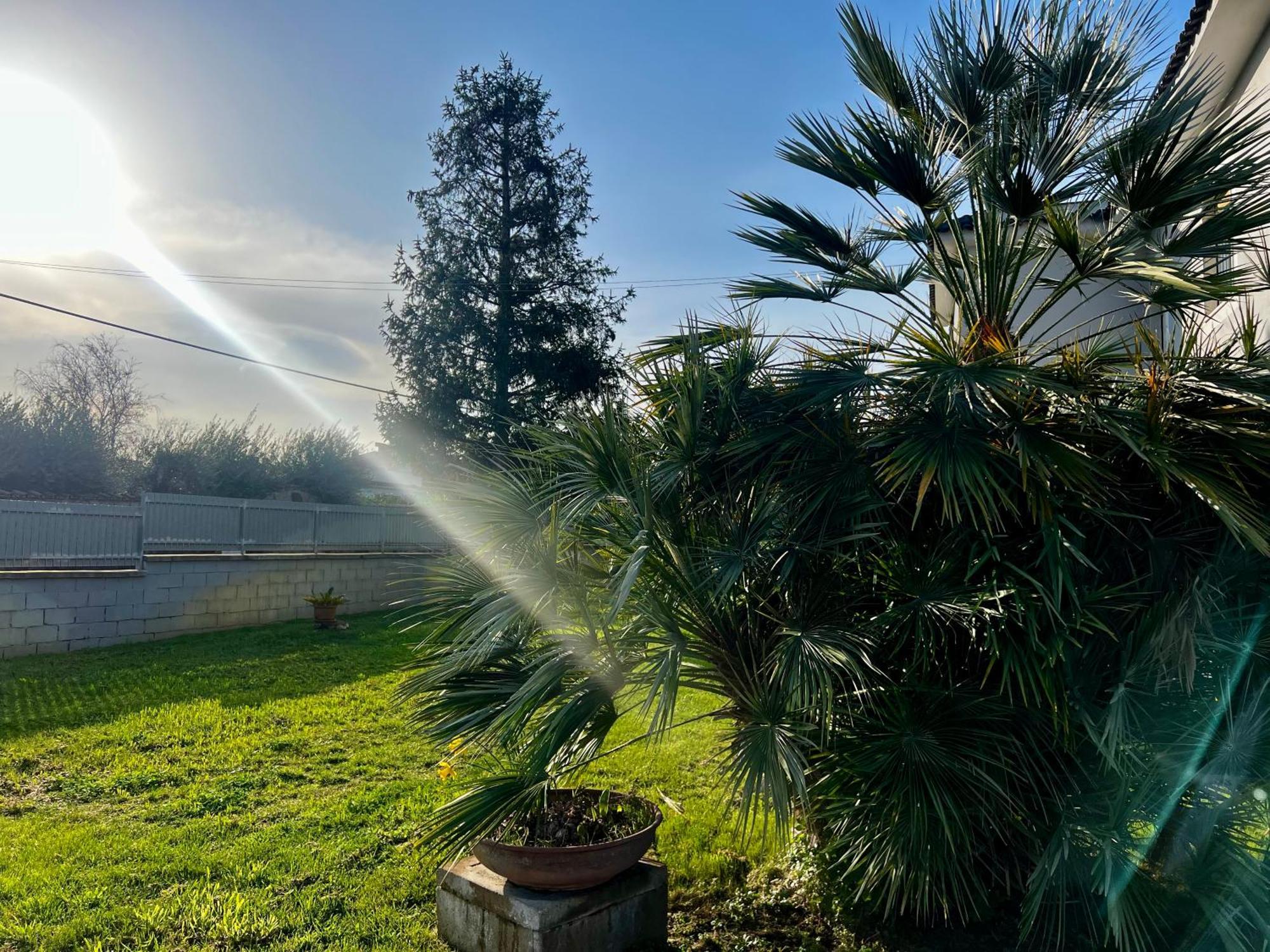 A Casa Di Marco Guesthouse - Apt Di Ciampino E Stazione Per Roma มารีโน ภายนอก รูปภาพ