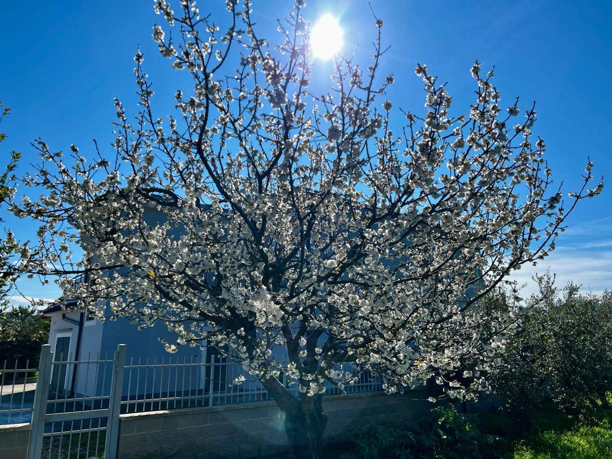 A Casa Di Marco Guesthouse - Apt Di Ciampino E Stazione Per Roma มารีโน ภายนอก รูปภาพ
